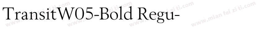 TransitW05-Bold Regu字体转换